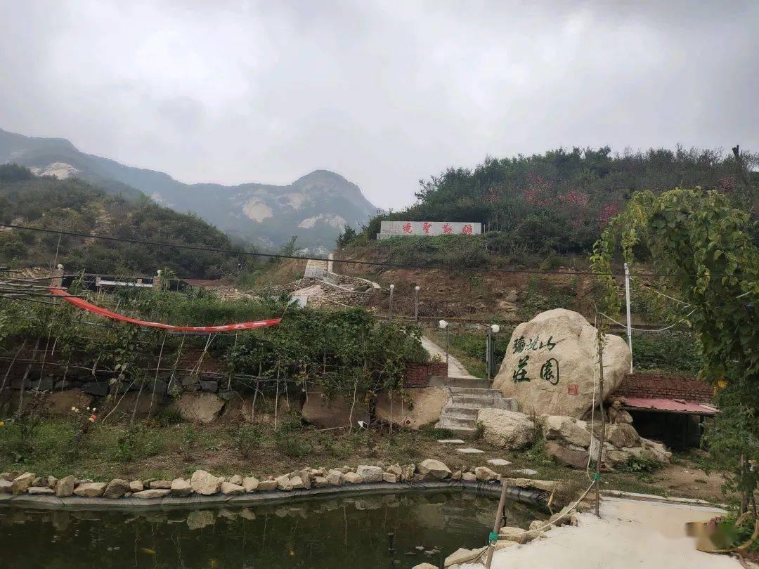 荒岛枪训