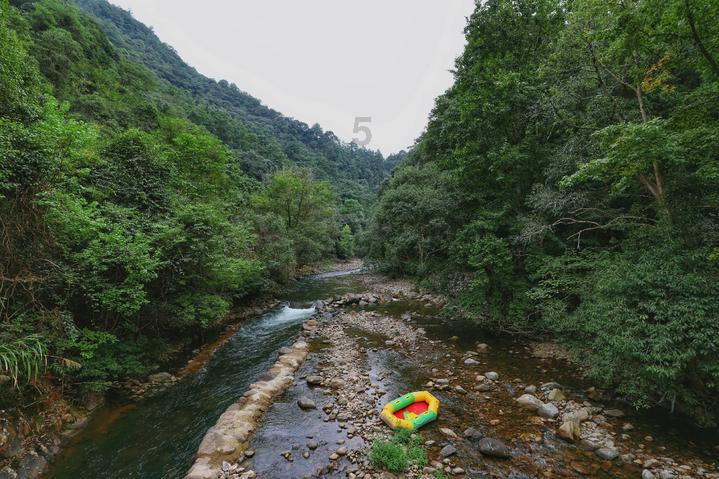 美妙夏季拼图