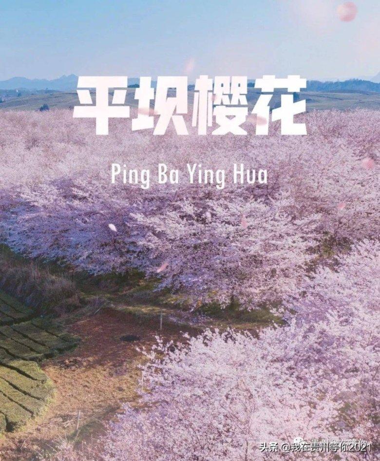 大学期间除了好好学习还有什么值得做的事情？