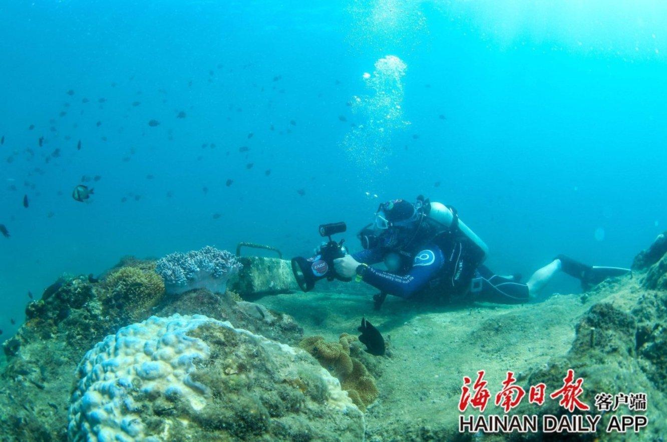 劲舞团