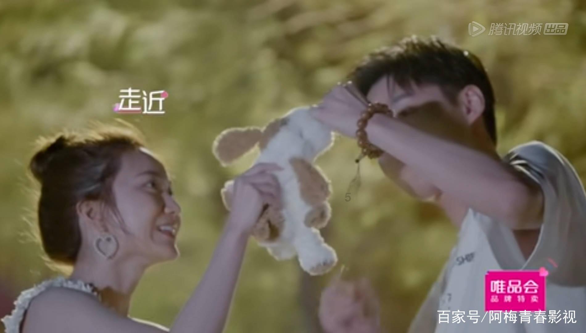 小猫钓鱼正版下载中文版